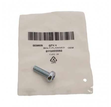 Bolt M8 x 25mm Rear Door Hinge Torx Head