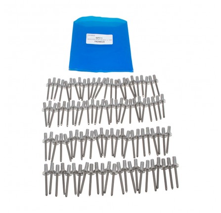 Sealed Pop Rivet x 100