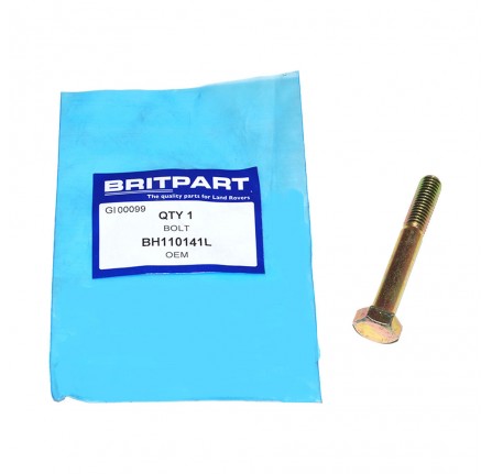 Bolt M10 x 70 Hex