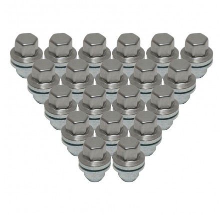 OEM Alloy Wheel Nut Set Of 20