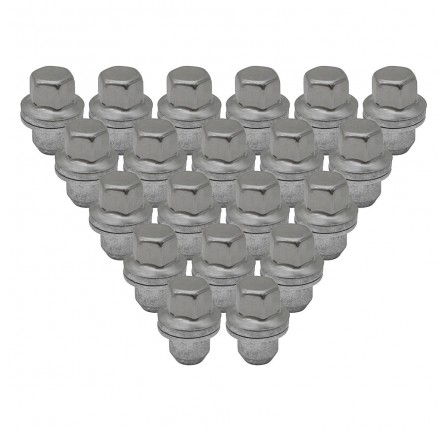 OEM Wheel Nut x 20
