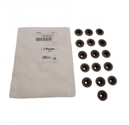 OEM Seal Valve Stem Set 2.5 V6 and 1.8 Petrol