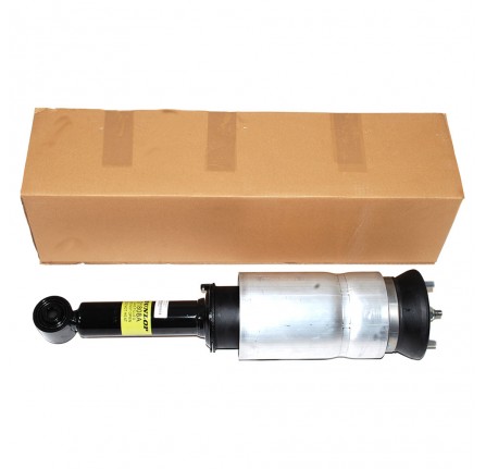 Front Shock Absorber Complete