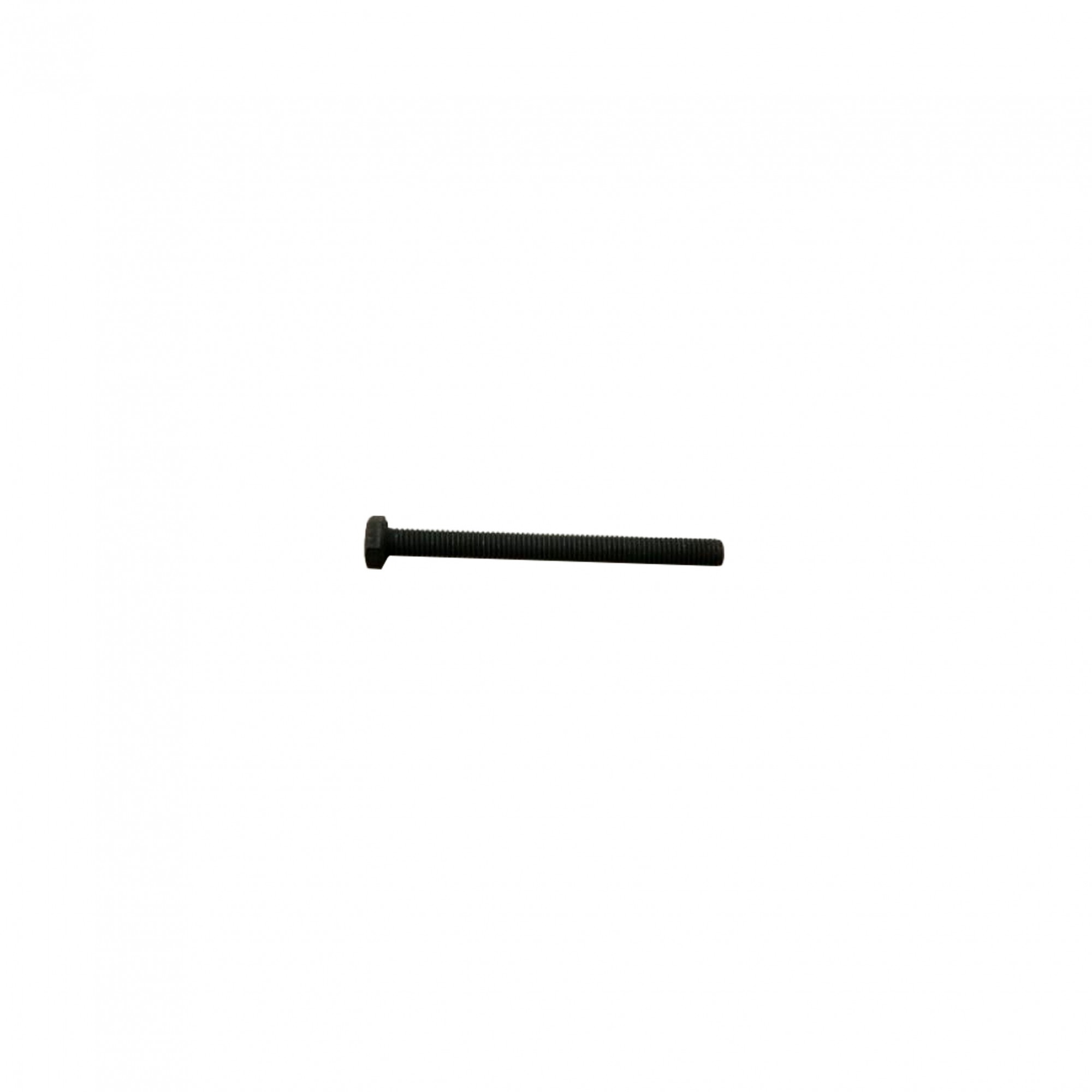 257302 - Special Bolt No Plate Light Extension Piece