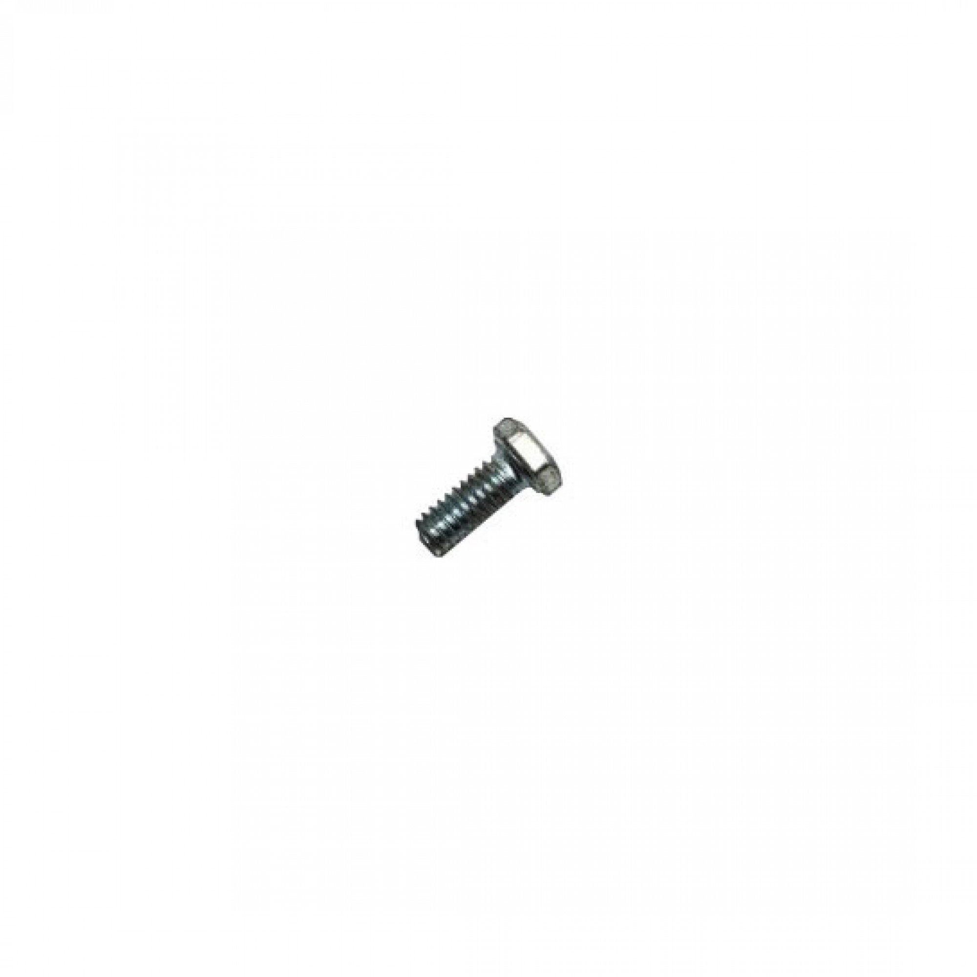 257307 - Screw for Heater Trunnion Series 3