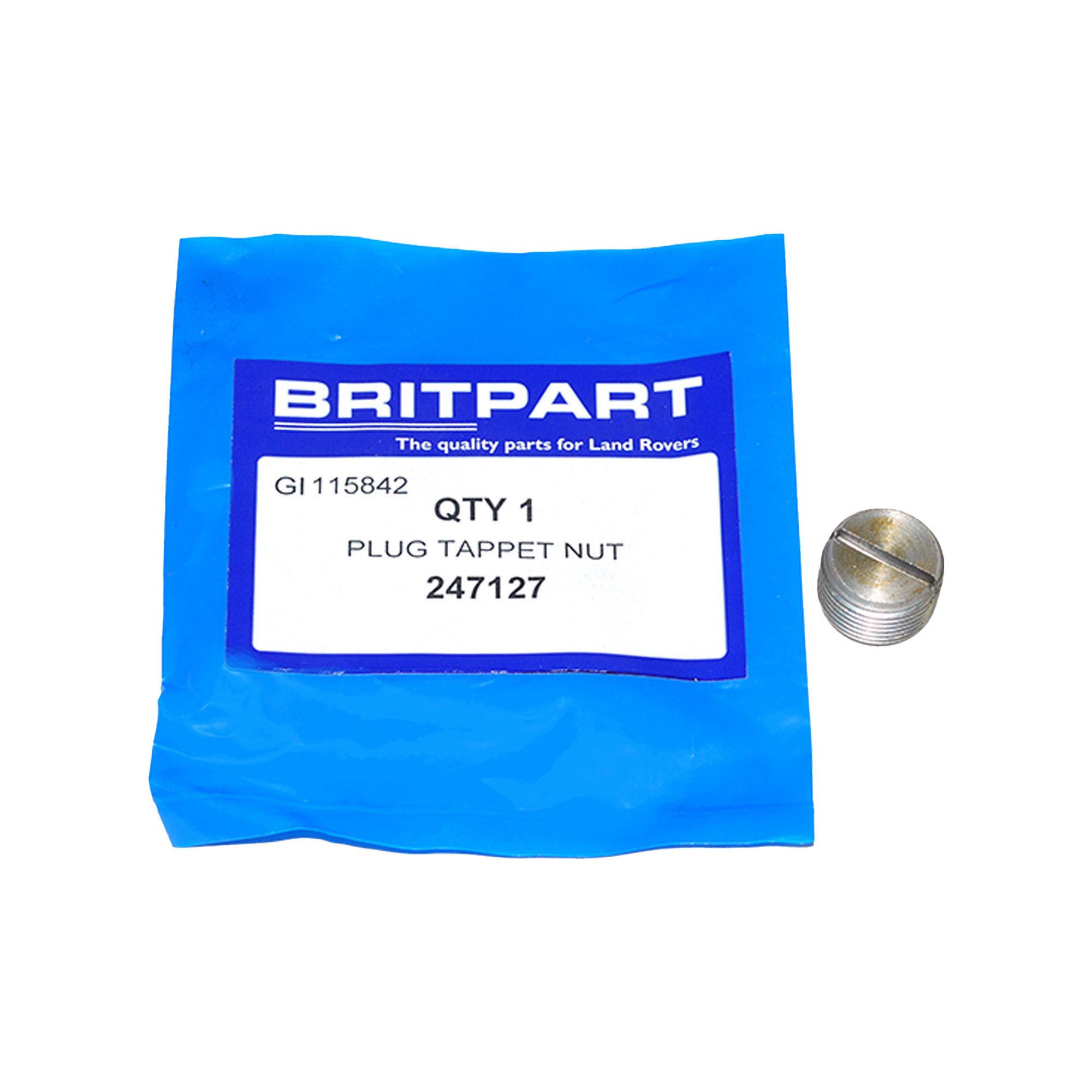 247127 - Plug Oil Gallery All 4 Cylinder. Land Rover and TDI Disco.