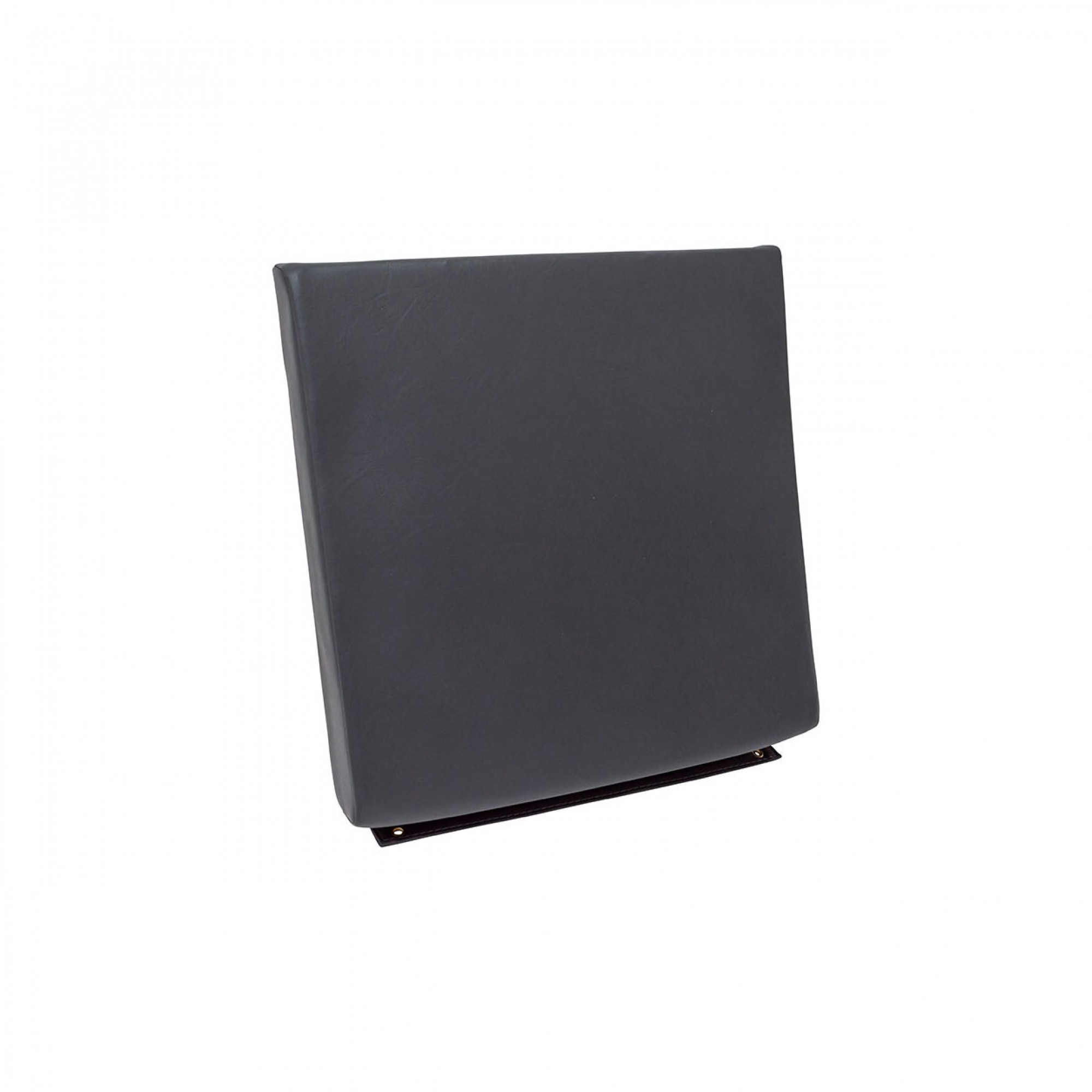 Seat Backrest Airportable in Black Vinyl