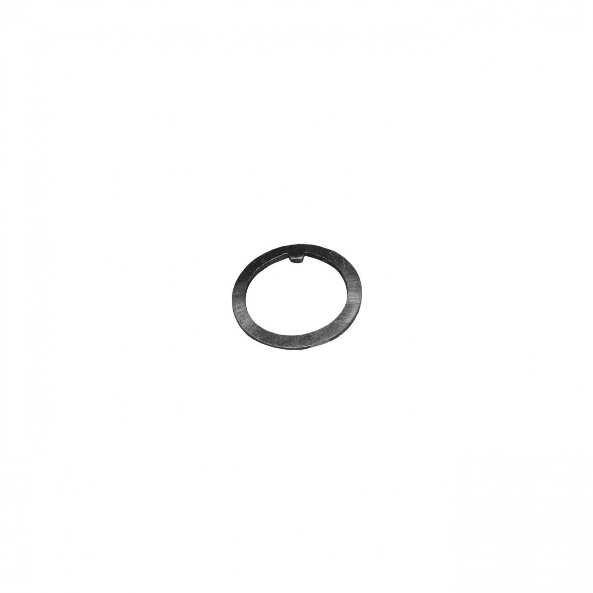 593869 - Washer for Hub Bearing 101 Forward Control