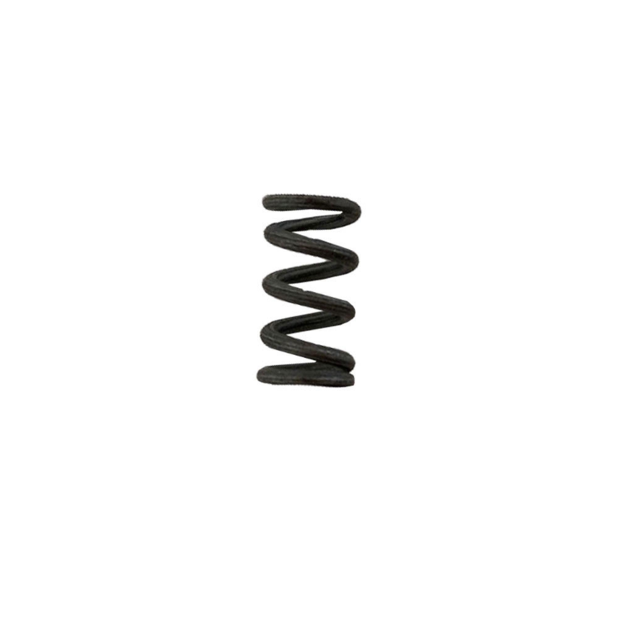605817 - Spring for 2.6 Carb Adjustment Screw