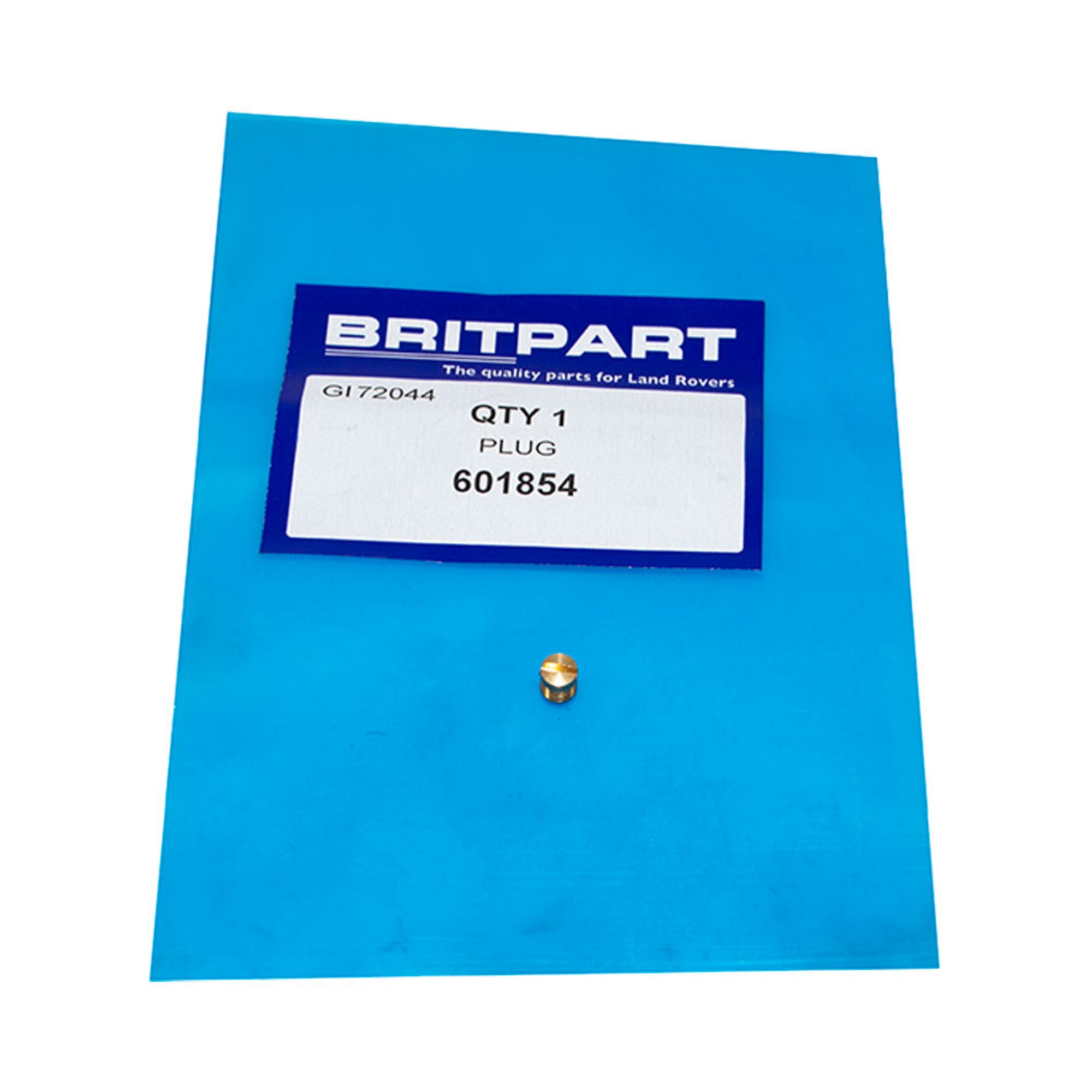 601854 - Plug for Pump Jet 1968-84 4 Cylinder.