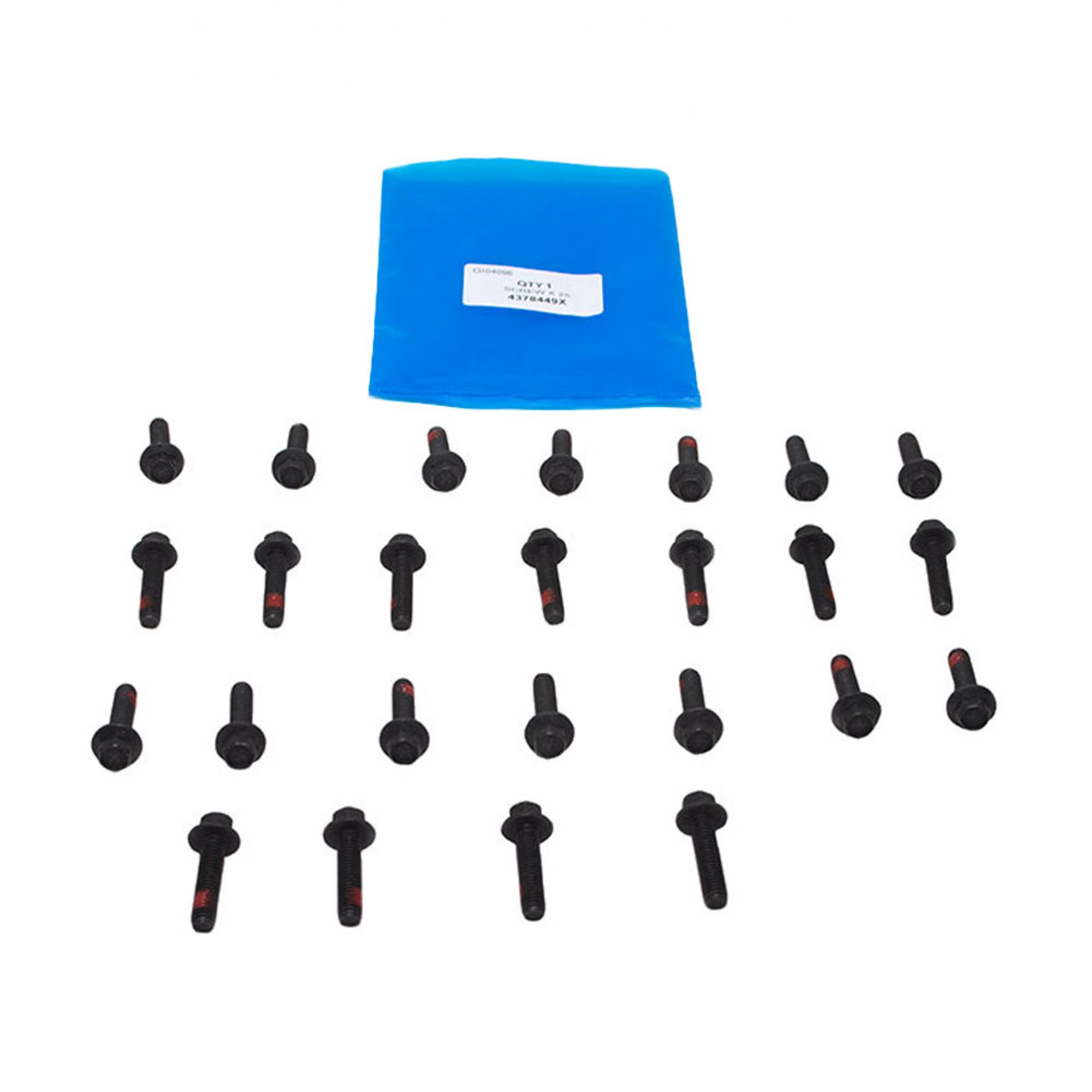 4378449X - Screw M6 x 25mm Screw x 25