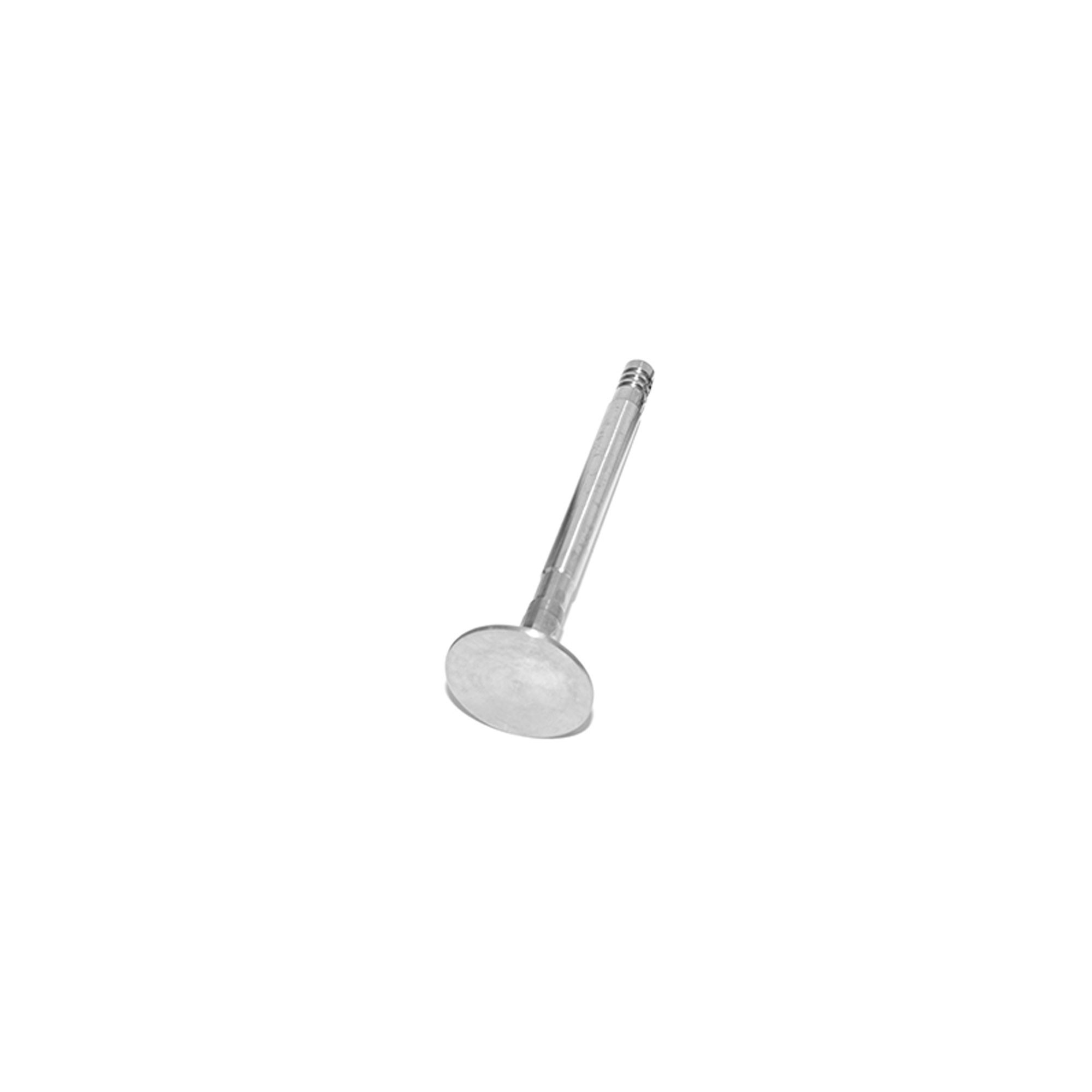 ETC5866 - Exhaust Valve 90-110 2.5/2.25 Petrol. and Late Series 3