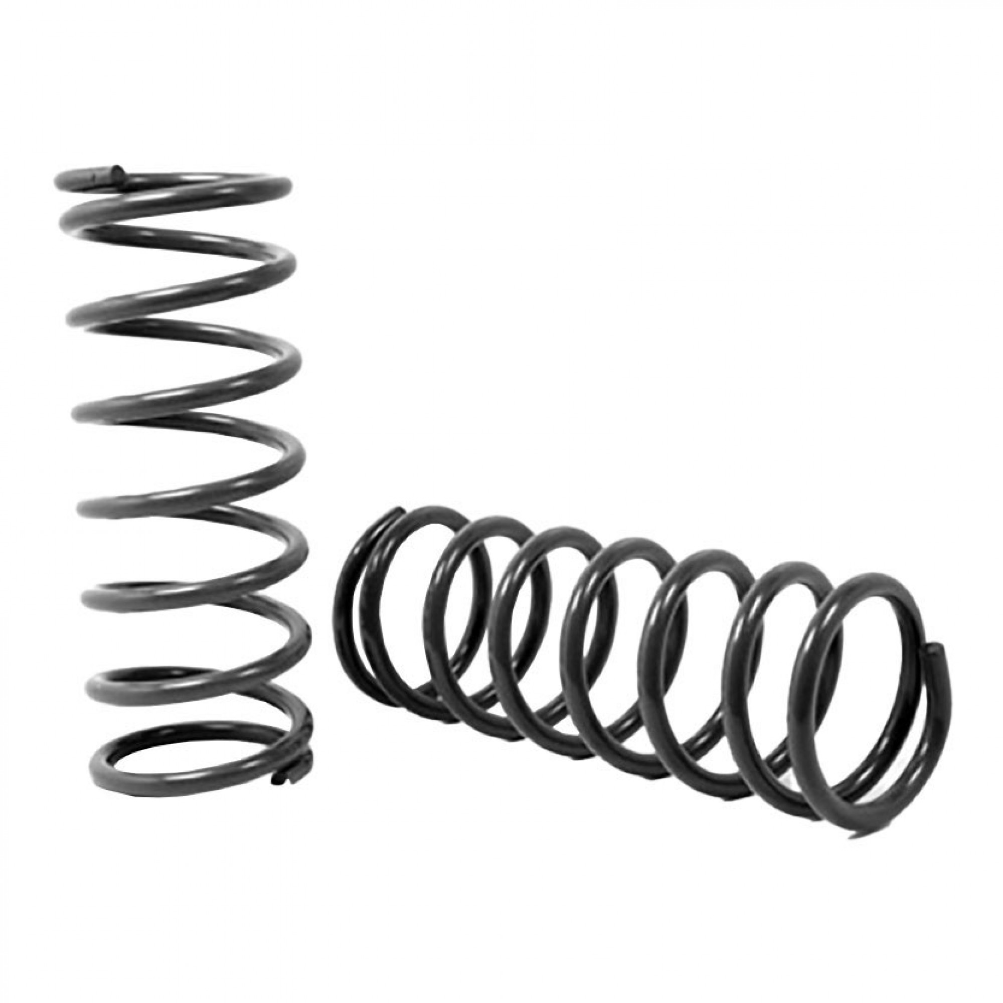 TF042 - Terrafirma Front Springs 2 Inch (50mm) Lift Discovery 2 - Medium Load