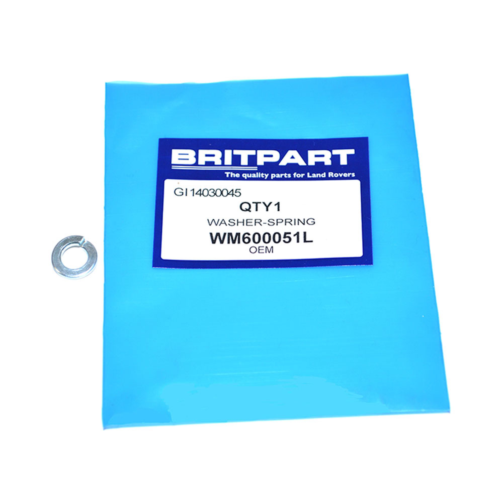 5/16 Inch Spring Washer. - WM600051L