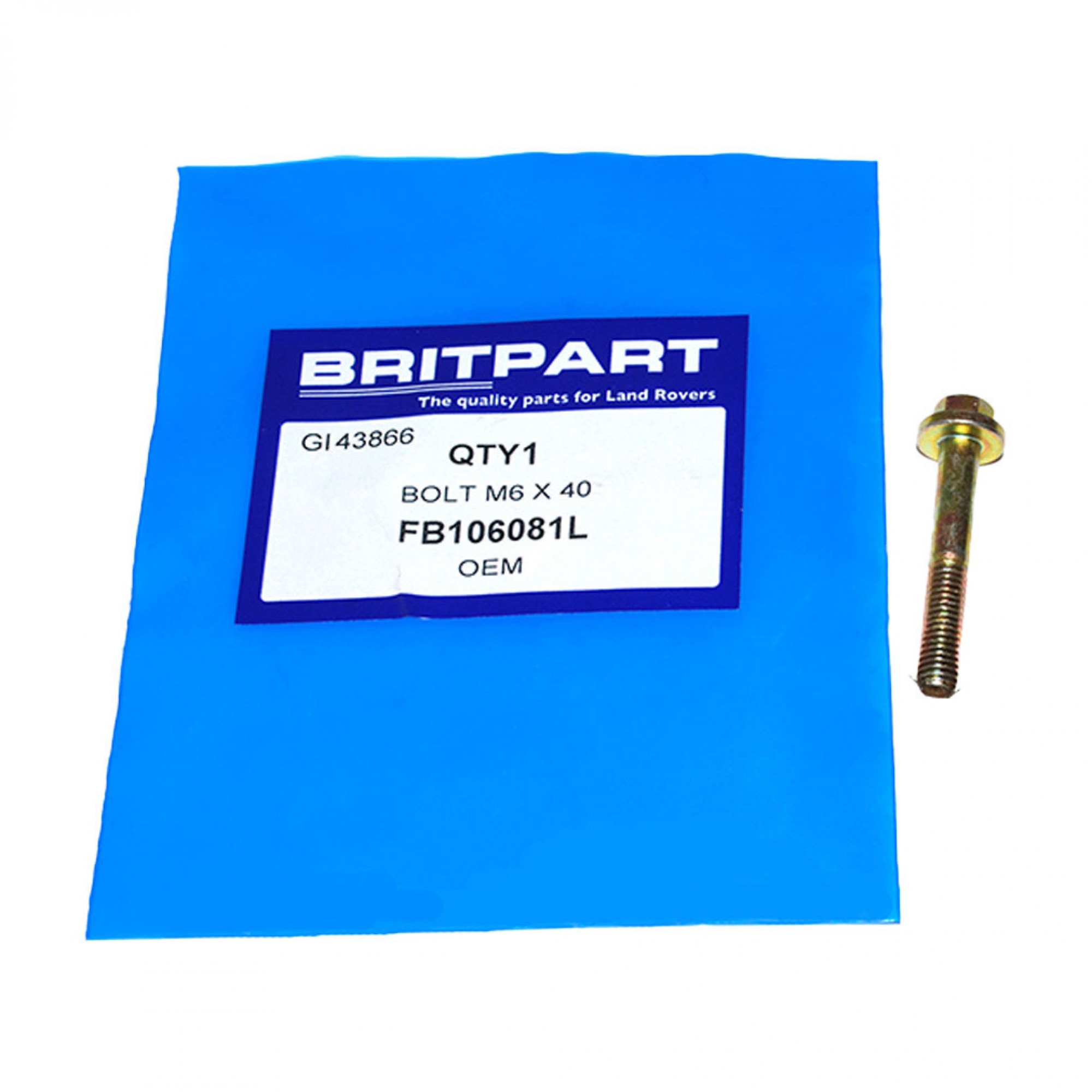 FB106081L - Flange Bolt M6 x 40mm V.A