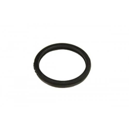 PEF10010 - Thermostat Seal 1.8 Petrol Freelander 1