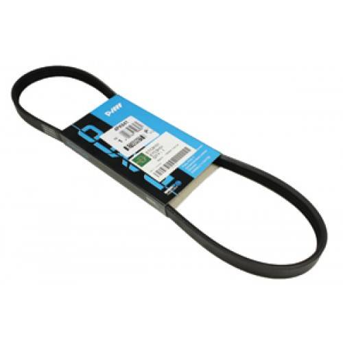 ETC9101 - Power Steering Belt 2.5 VM