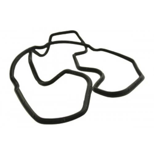 Rocker Cover Gasket 200TDI