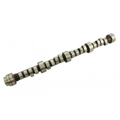 ERR5250 - OEM Camshaft 4.6 and 4.0 Litre V8