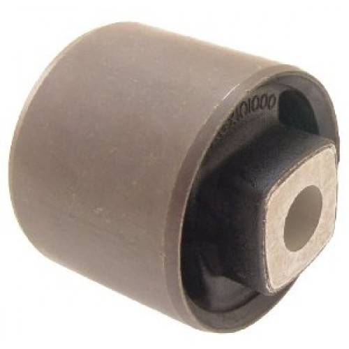 RGX101000 - Bush Rear Trailing Arm Freelander