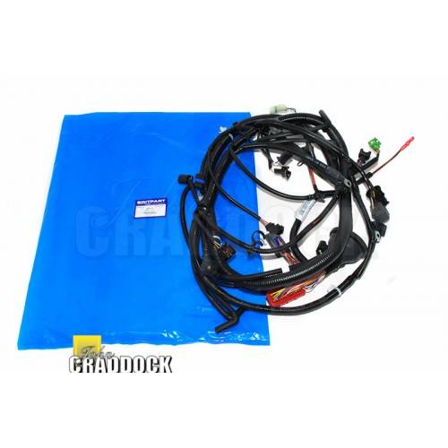 YSB000862 - Engine Harness from 2A642960 No Aircon TD5