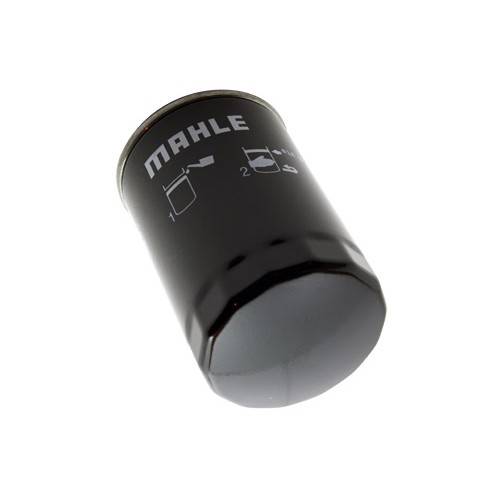 4454116M - Filter Assembley - Oil