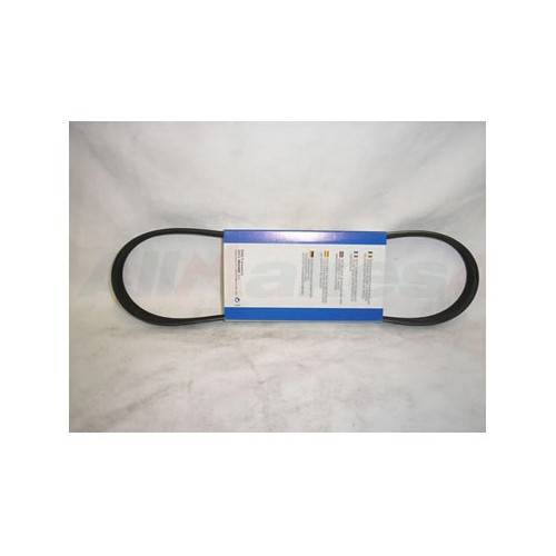PQS100840G - Dayco Belt for Alternator 1.8 Petrol Freelander