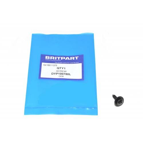 DYP100780L - Screw M5 x 20mm Self Tapping