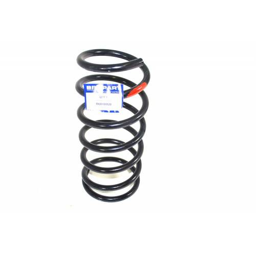 RKB100920 - Road Spring Rear up to YA999999