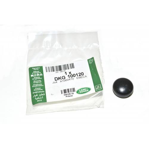 DKG100120 - Genuine Windscreen Wiper Spindle Cap