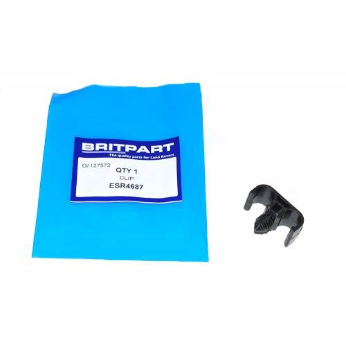 ESR4687 - Double Pipe Clip Fuel Lines