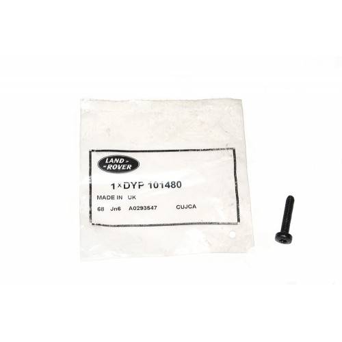 DYP101480 - Torx Screw M5 x 25mm Tailgate