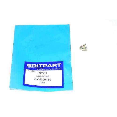 BYH100130 - Domed Nut for Rear Door Hinge