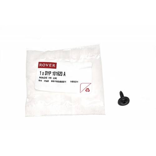 DYP101620 - Screw - Self Tapping 5 x 20mm