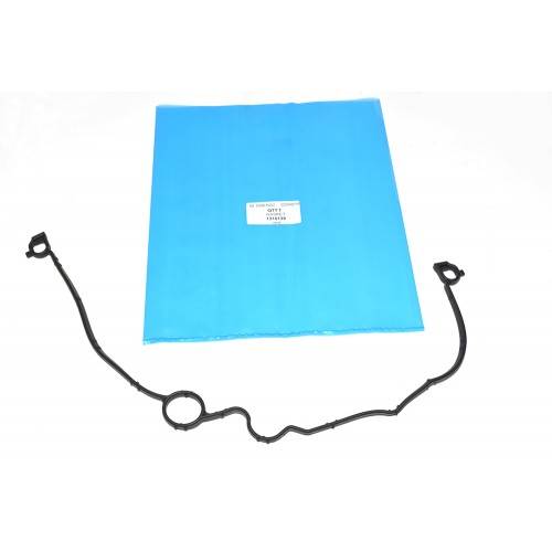 1316139 Oil Pump Gasket Gasket