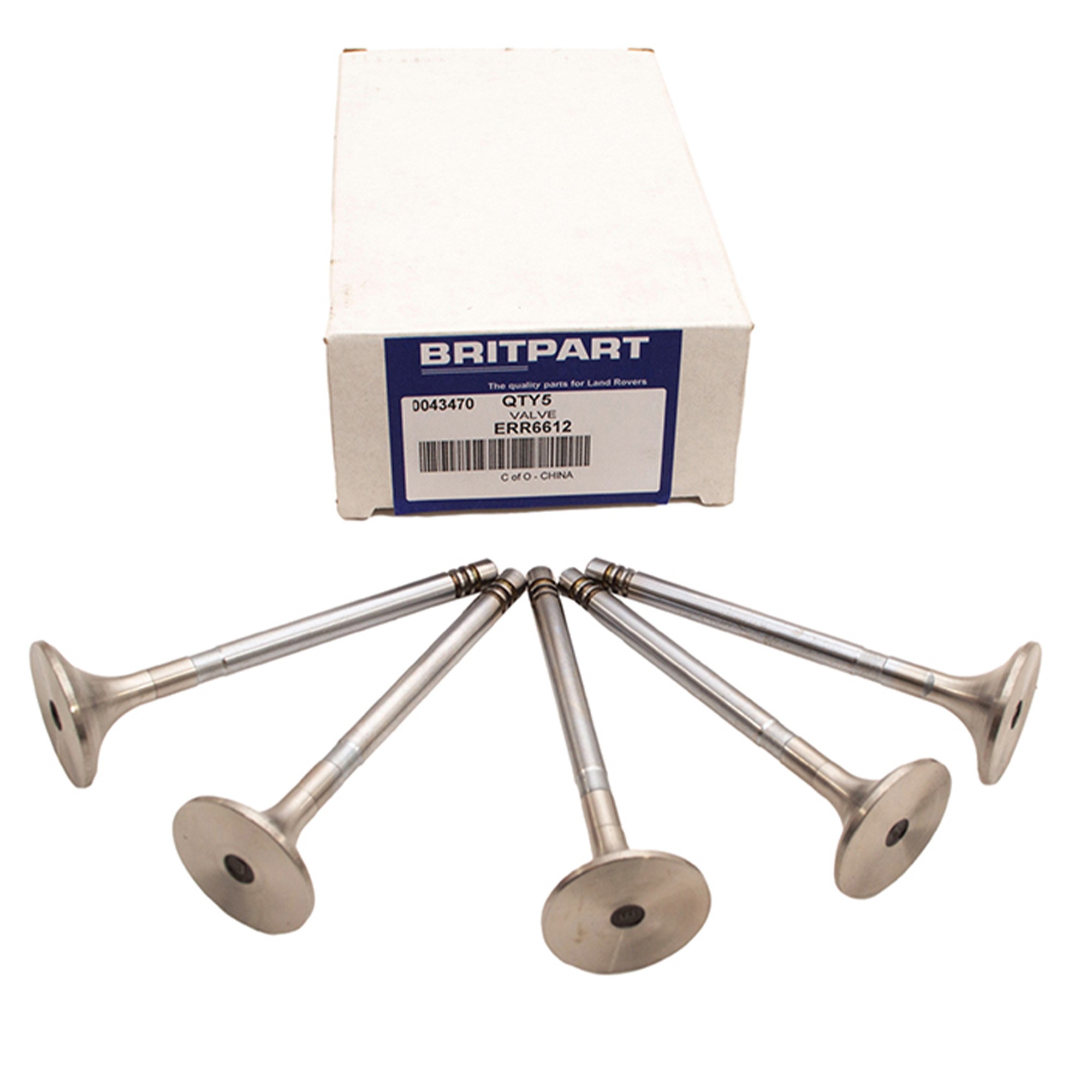 Exhaust Valve TD5