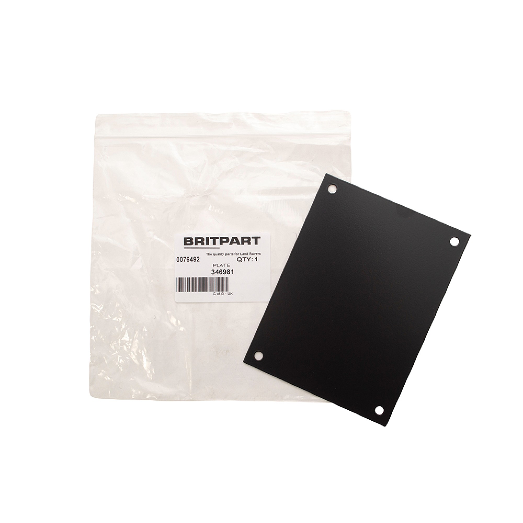 346981 - Plate Cover Pedal Hole Passenger (Small)