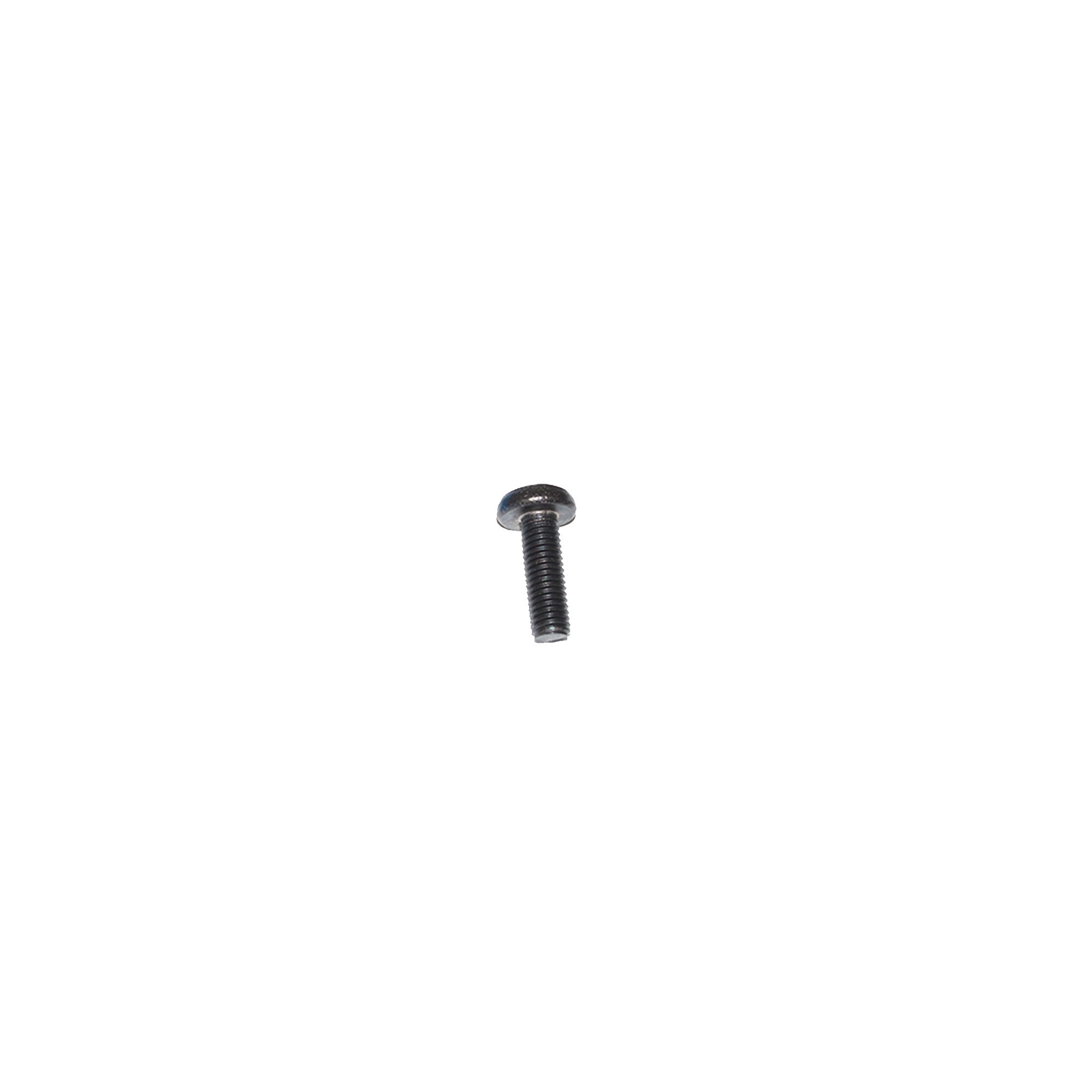 AYG100240 - Screw M8 x 25 Torx