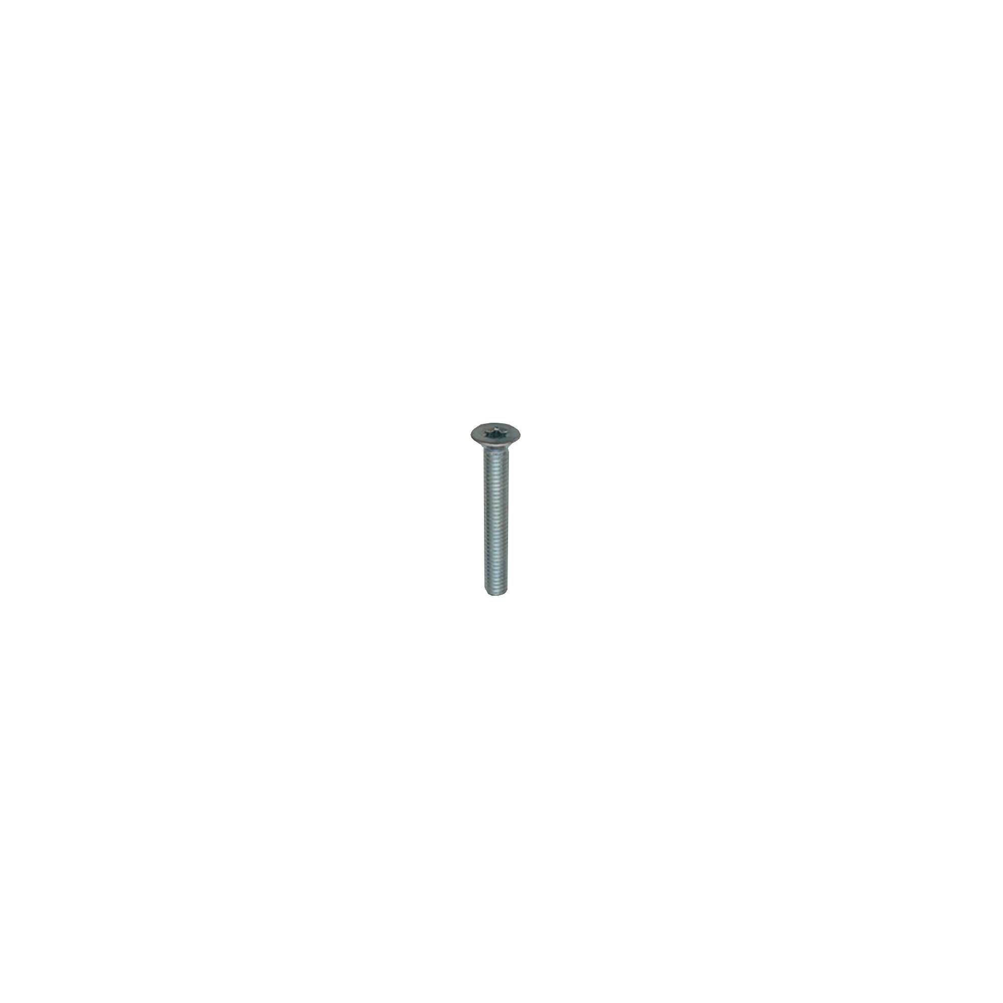 Torx Counter Sunk Screw for Door Stricker 1987 on - BYP500200