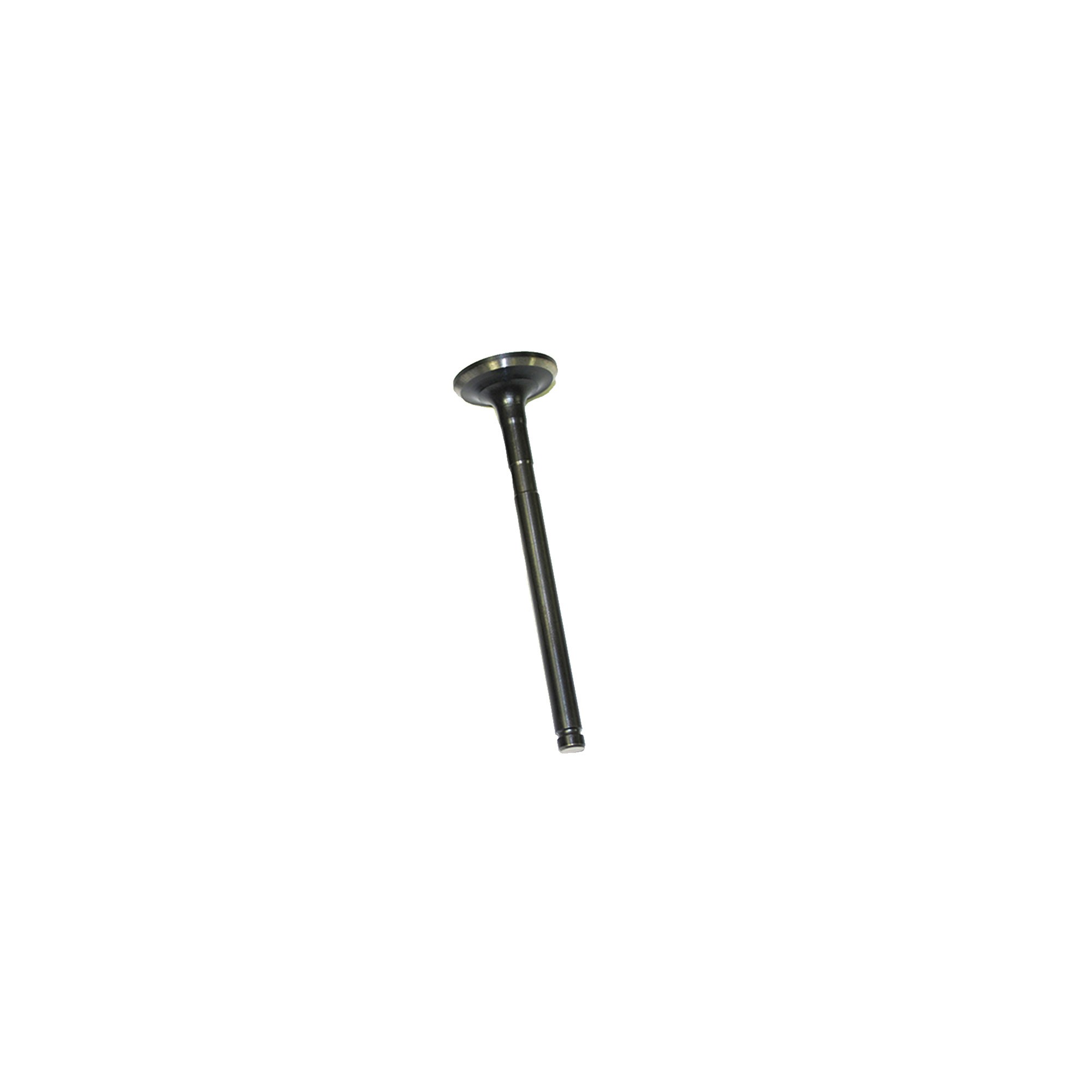 LGH101190L - Exhaust Valve 1.8 Petrol