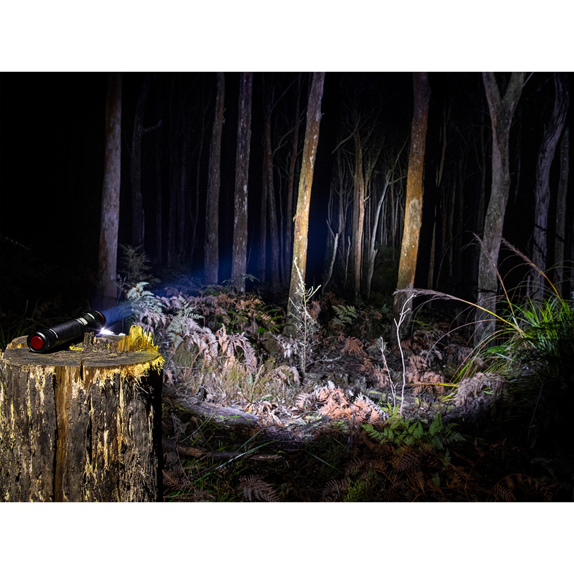 ARB Pureview 800 Flashlight 800 Lumen Flashlight