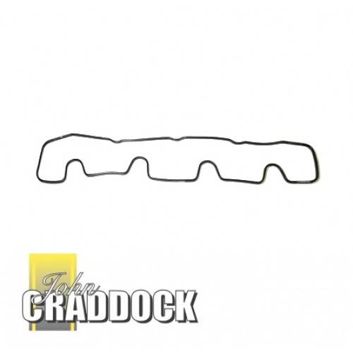 Rocker Cover Gasket 300 TDI