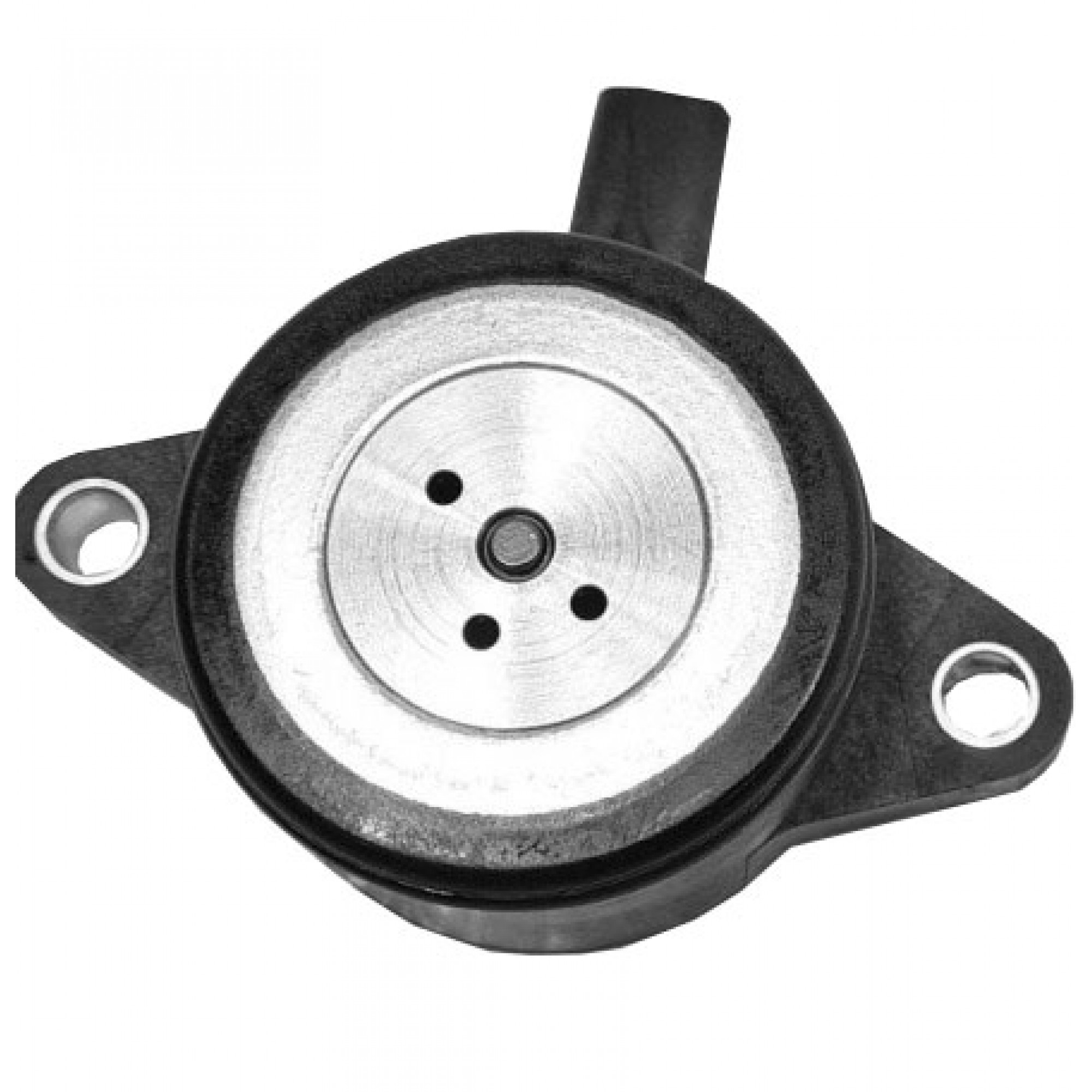 LR162948 - Engine Variable Timing Solenoid