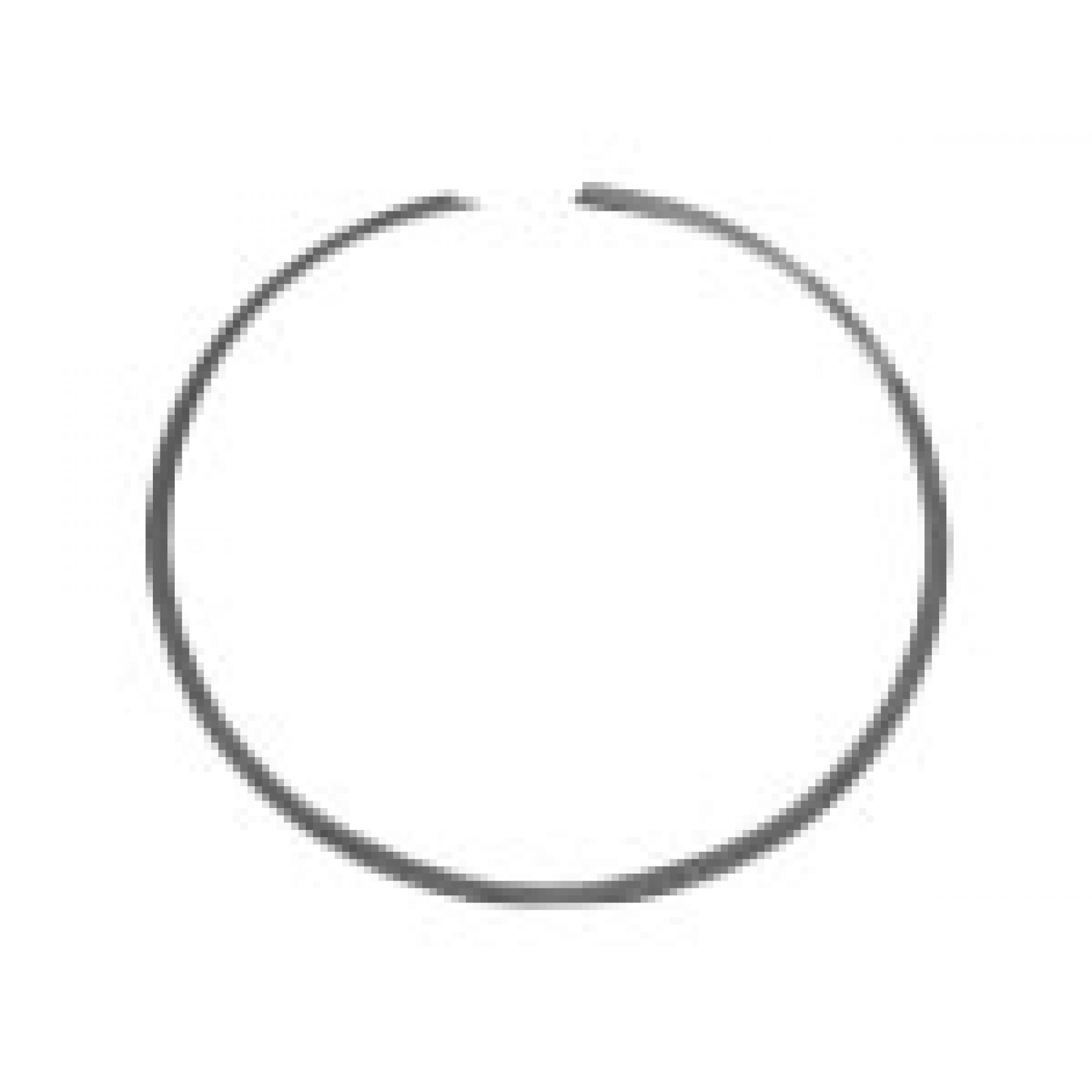 AEU2381 - Snap Ring Rear Clutch Auto Range Rover <1985