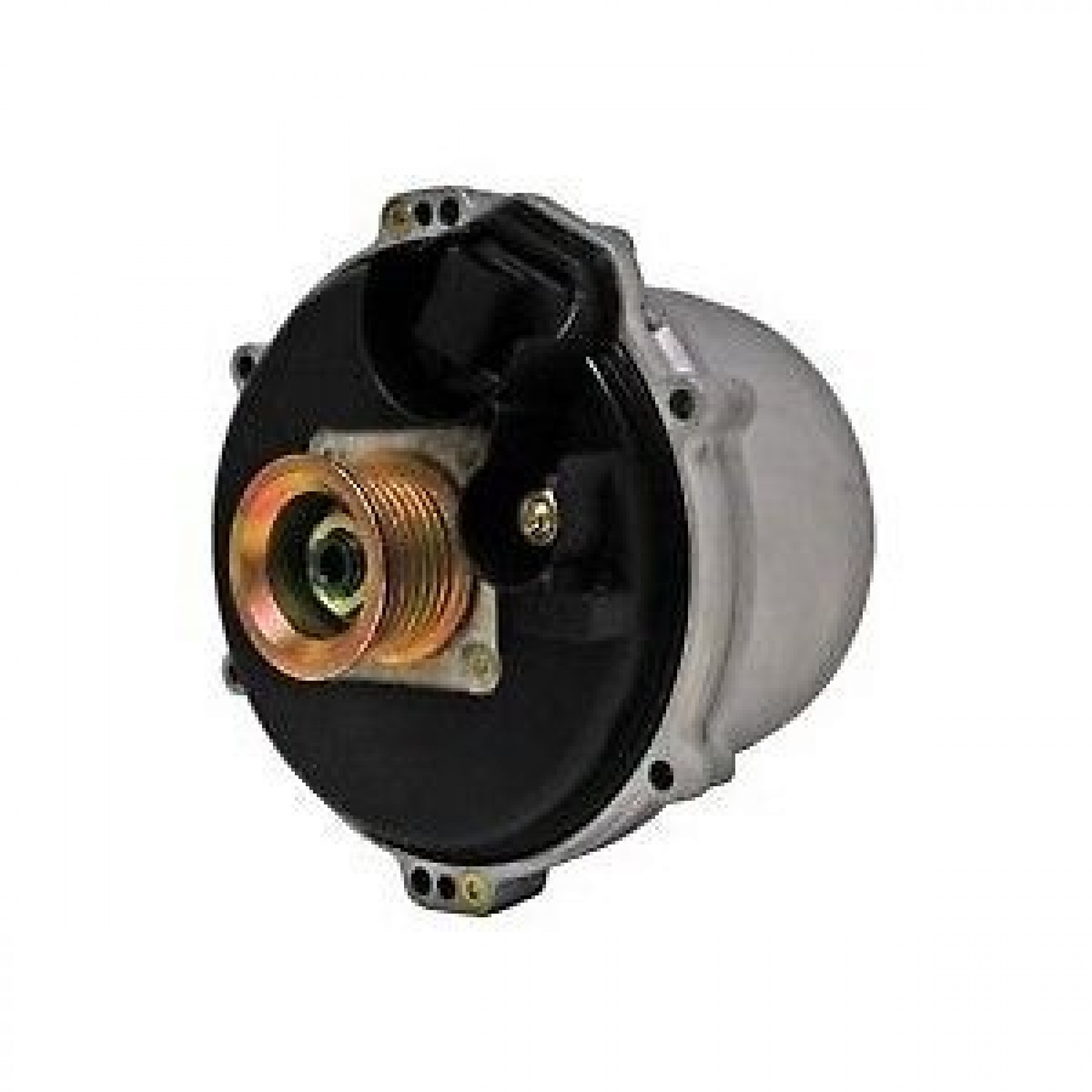 LR005866 - L322 Alternator 4.4 V8 Petrol (M62)