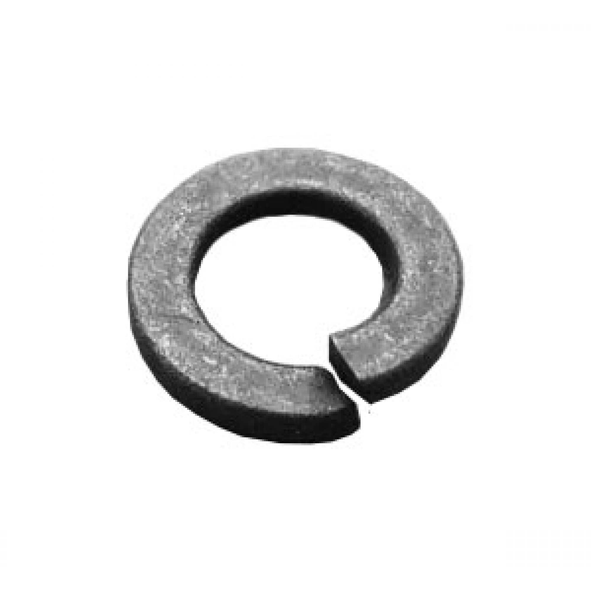 WL118001L - Washer - Spring