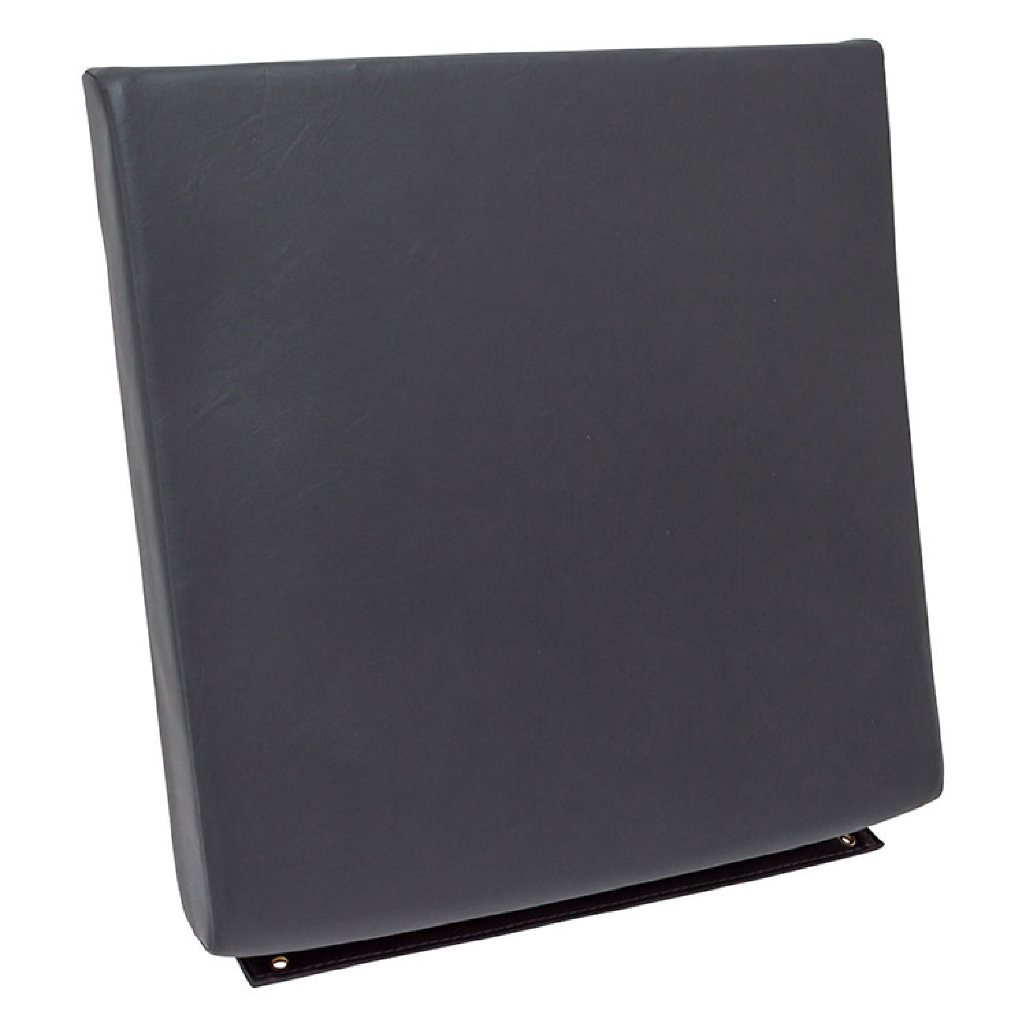 Seat Backrest Airportable in Black Vinyl