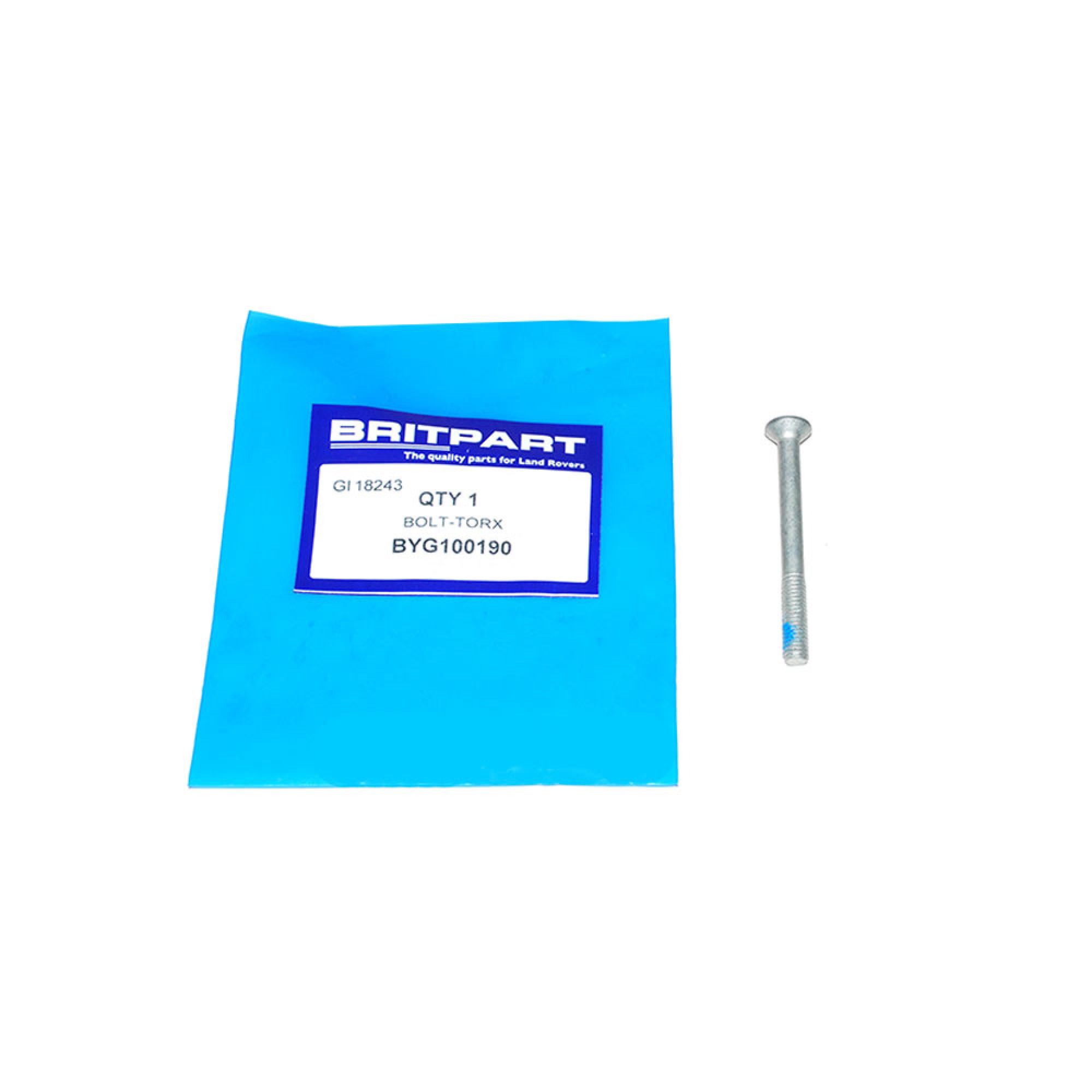 BYG100190 - Hinge Pin Rear Door Torx Head 1998-2000