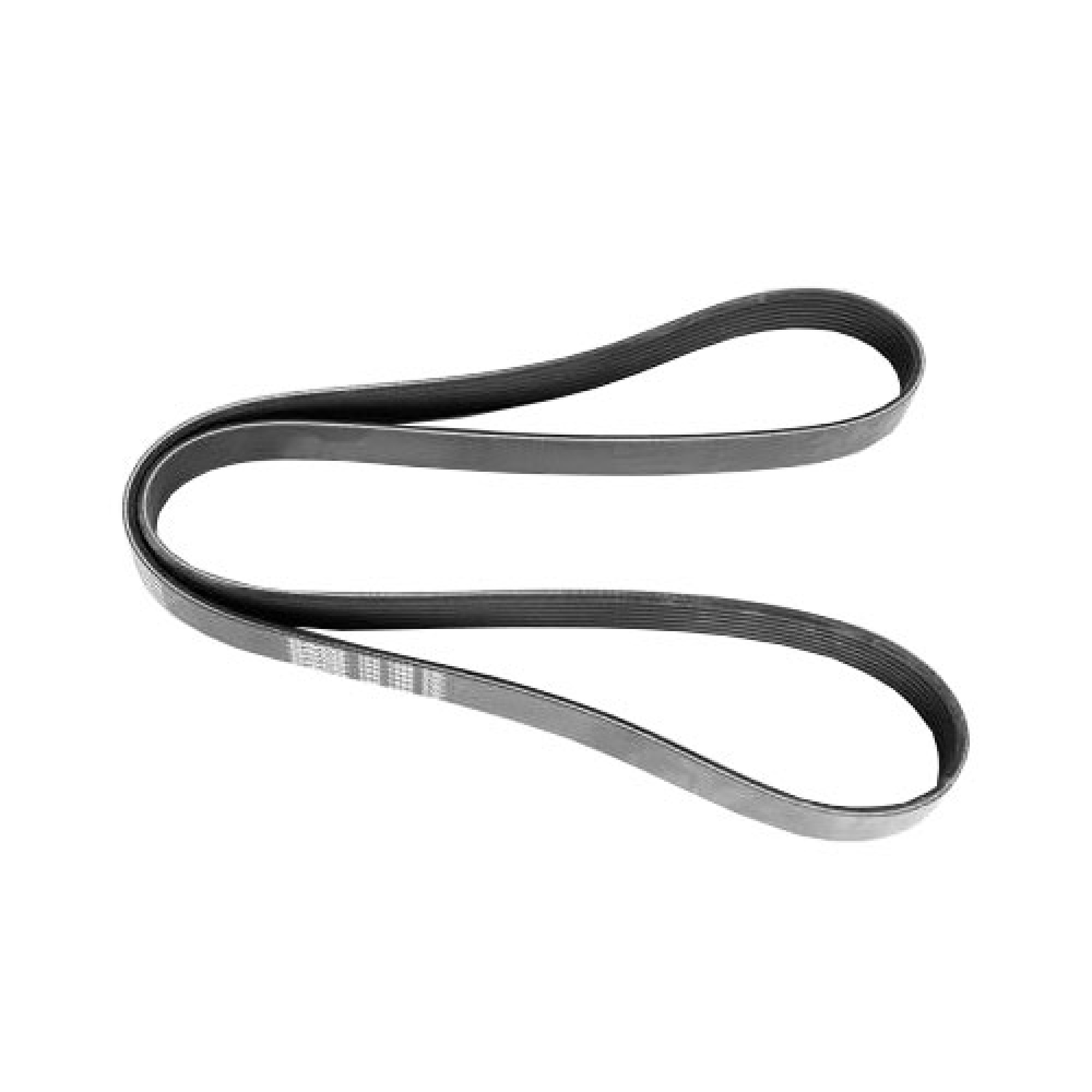 ERR3287D - Dayco Fan Belt 300 TDI 90/110 up to (E) 16L25164 1995. and Discovery 1 to MA163103. Rrc. All with 61mm Alternator Pulley