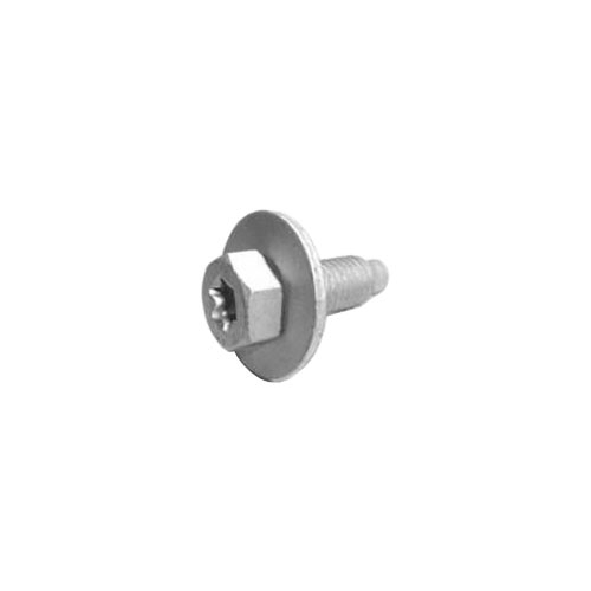 AYP500190 - Bonnet Hinge Screw